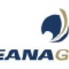 IT Analyst (ServiceNow Platform)