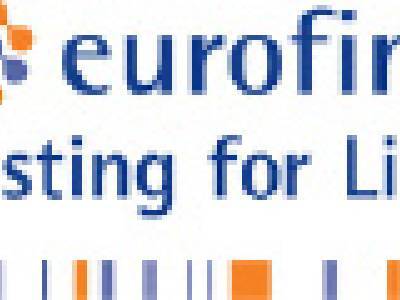 Software support agent and developer